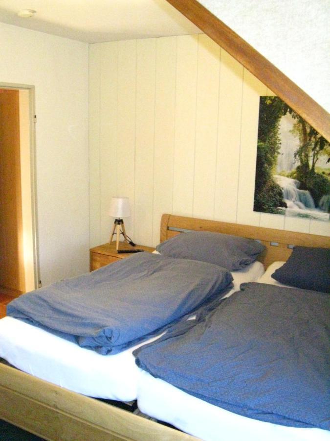 Bio-Hotel Zum Forsthaus Altenau  Buitenkant foto